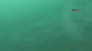 Marmara Denizi tehlikede! Bakanlık'tan 7 belediyeye uyarı