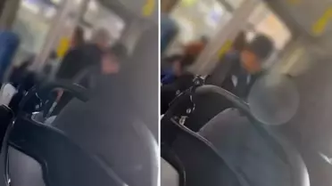 Bugüne kadar ki tüm tartışmaları unutun: Homo Sapiens gibisin, kuyruğunu pantolonundan çıkartırım