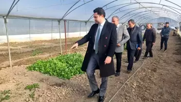 Gölbaşı'nda Üreticilere Hibe Sera Desteği