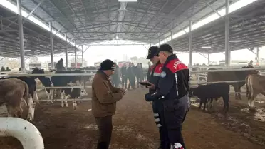 Çine'de Hayvan Pazarında Jandarma Denetimi