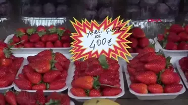 Antalya'da Çilek Fiyatları Fırtına Nedeniyle 400 Liraya Yükseldi