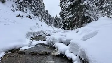 Ilgaz Dağı'nda Kış Keyfi