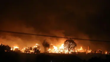 California'da Orman Yangınları: 5 Ölü