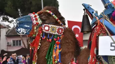 En Yakışıklı Deve Yarışması Sonuçlandı