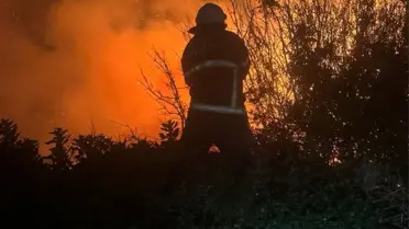Arsuz'da Kamışlık Yangını Söndürüldü