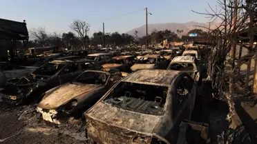 Los Angeles'taki Orman Yangınlarında Can Kaybı 16'ya Yükseldi