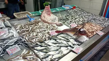 Düzce'de Balık Tezgahları Şenlendi