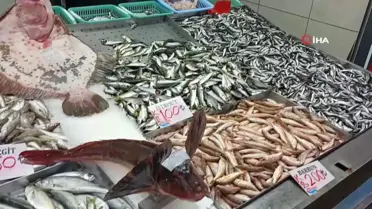 Karadeniz'de Balık Sezonu Bolluğu