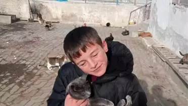 Bayburt'tan Duyarlı Öğrenciler Sokak Hayvanlarını Besledi