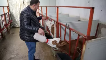Çorumlu Kardeşler Hayallerindeki Çiftliği Kurdu