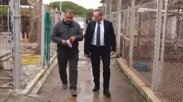 Ayvalık'ta 1745 Can Dostu Kısırlaştırıldı ve Tedavi Edildi