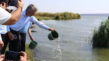 Edirne'de 10 Milyon Sazan Yavrusu Üretildi