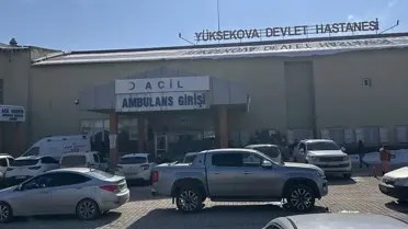 Sahipsiz Köpeklerin Saldırısı: 12 Yaşındaki Kız Çocuğu Hayatını Kaybetti