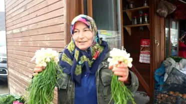 Köy Kadınları Organik Ürünlerle Şehir Pazarlarında Yer Alıyor