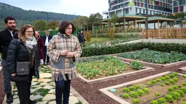 Maltepe'de 'Çocuk Tarım Parkı' Projesi Hayata Geçiyor