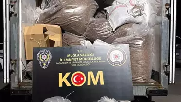 Muğla'da Kaçak Tütün Operasyonu