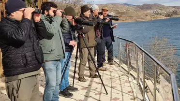 Elazığ'da Su Kuşu Sayımı Başladı