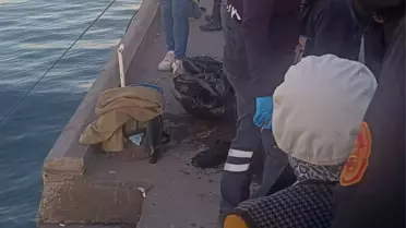 Fatsa'da Denize Düşen Balıkçı Kurtarıldı
