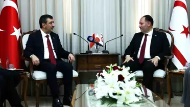 Cumhurbaşkanı Yardımcısı Yılmaz: 'KKTC'nin uluslararası statüsü son derece kıymetli'