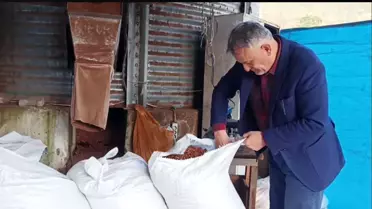 TMO'nun Fındık Satışı Fiyatları Düşürdü