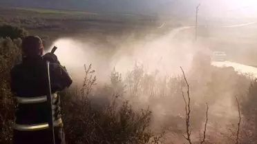 Yayladağı'nda Zeytinlik Yangını Kontrol Altına Alındı