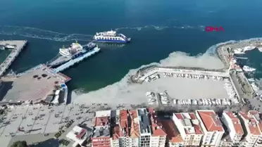 Çanakkale Boğazı'nda Müsilaj Tekrar Görüldü