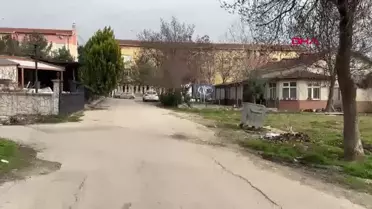 Edirne'de Sokak Köpeği Bir Öğrenciyi Isırdı