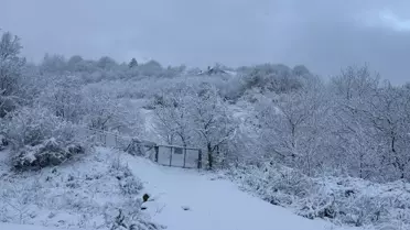 Bartın'da Kar Yağışı Kentin Yüksek Kesimlerini Beyaza Bürüdü