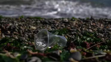 İzmir Körfezi'nde Sürekli Kirlilik Tespiti