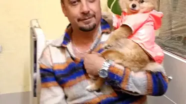Ankara'da Çalınan Köpekler İçin Yardım Çağrısı