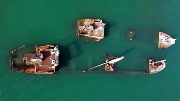 Mersin Limanı'ndaki Batık Gemiler Doğal Yaşam Alanı Oluşturuyor