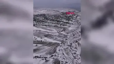 Karaman'da Yaban Domuzlarına Sürek Avı Düzenlendi