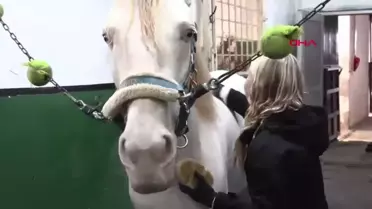 Zehra Aden Çelebi ve Ragnar'dan Başarı Dolu 4 Ay