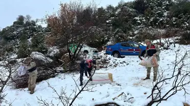Kilis'te Yaban Hayvanlarına Yem Bırakıldı