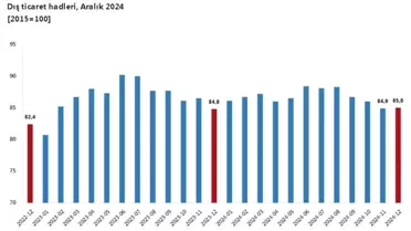 TÜİK, Dış Ticaret Haddi 2024'te Artış Göstermiştir