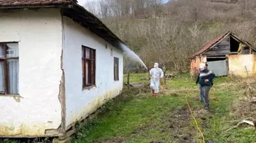 Düzce'de Kahverengi Kokarca İle Mücadele