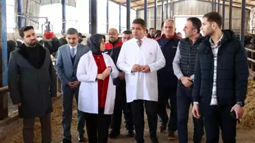 Düzce'de Manda Yetiştiriciliği Artacak