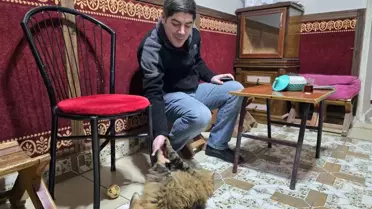 Elazığ'da 'Bıdık' Kedisi Esnafın Gözbebeği Oldu