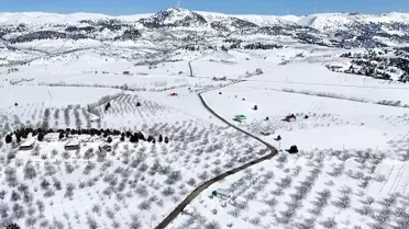 Merk Göleti Buzla Kaplandı