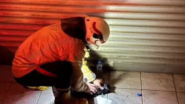Üsküdar'da Yangın: 2 Yaralı, 1 Kedi Hayatını Kaybetti