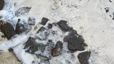 Soğuk Hava Müsilajı Azaltabilir