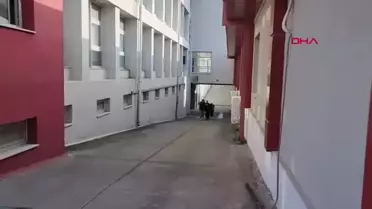Adana'da Dolandırıcılık Şebekesi Çökertildi
