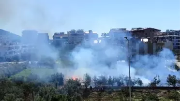 Gazipaşa'da Sazlık Alanında Yangın Kontrol Altına Alındı