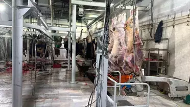 Hayrabolu'da Kaçak Kesime 105 Bin TL Ceza