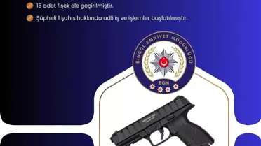 Bingöl'de Tabanca ve Fişek Ele Geçirildi