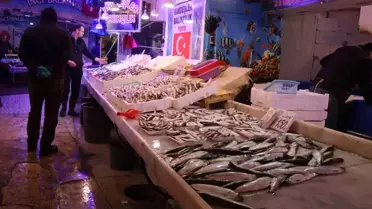Sakarya'da Balık Fiyatları Düşüyor