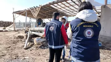 Iğdır'da Yabancı Göçmenlere Operasyon