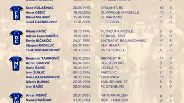 Dzeko ve Hajradinovic Bosna'nın Kadrosunda