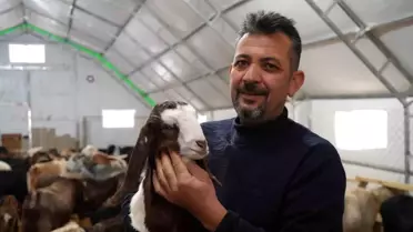 Emekli Memur Kırsalda Hayvancılığa Geçti
