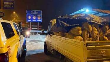 Samsun'da Kaçak Midye Operasyonu